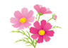 9月の予定です!